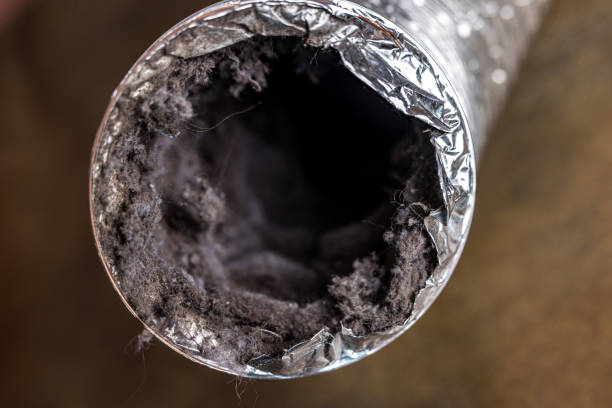 Best HVAC Air Duct Cleaning  in St John, KS