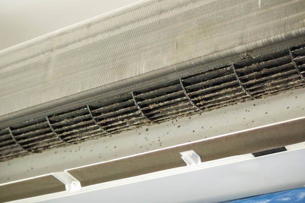 Best Air Duct Mold Removal  in St John, KS