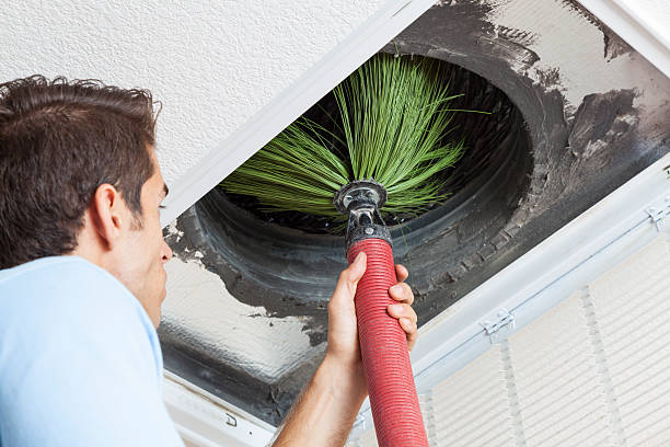 Air Duct Mold Removal in St John, KS